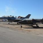 Cambria_0157 (November 02, 2013)